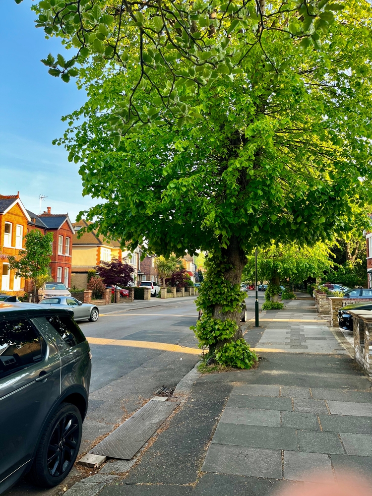 Row of red brick terrace houses in Twickenham london